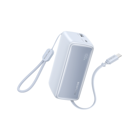 EcoFlow RAPID powerbank (25.000 mAh, 170 W, 100 W feitelijk intrekbare kabels) 