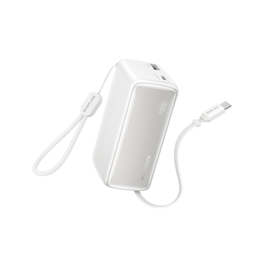 EcoFlow RAPID powerbank (25.000 mAh, 170 W, 100 W feitelijk intrekbare kabels) 