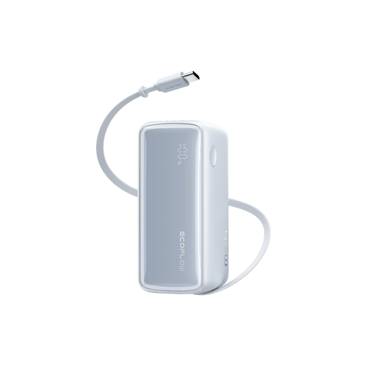 EcoFlow RAPID powerbank (25.000 mAh, 170 W, 100 W feitelijk intrekbare kabels) 