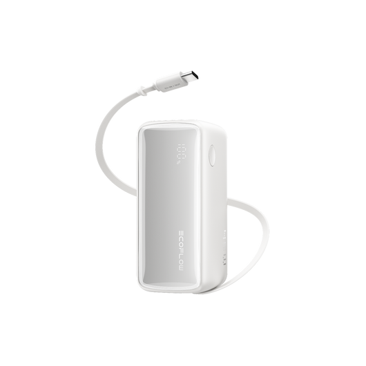 EcoFlow RAPID powerbank (25.000 mAh, 170 W, 100 W feitelijk intrekbare kabels) 