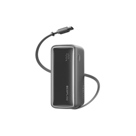EcoFlow RAPID powerbank (25.000 mAh, 170 W, 100 W feitelijk intrekbare kabels) 
