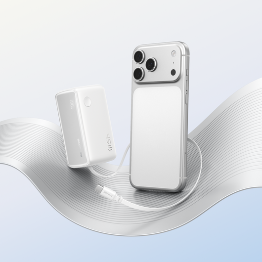 EcoFlow RAPID powerbank (25.000 mAh, 170 W, 100 W feitelijk intrekbare kabels) 
