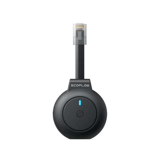 EcoFlow P1 Meter