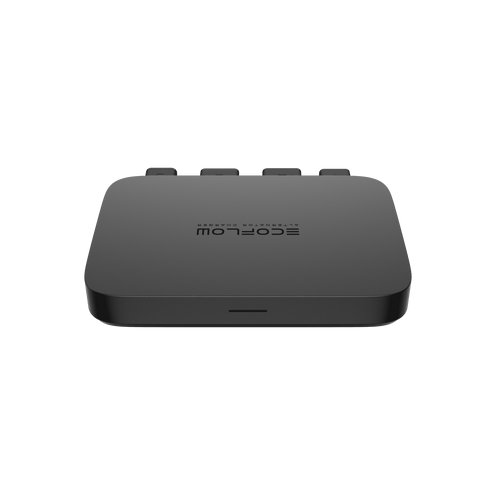 EcoFlow 800 W Generatoroplader