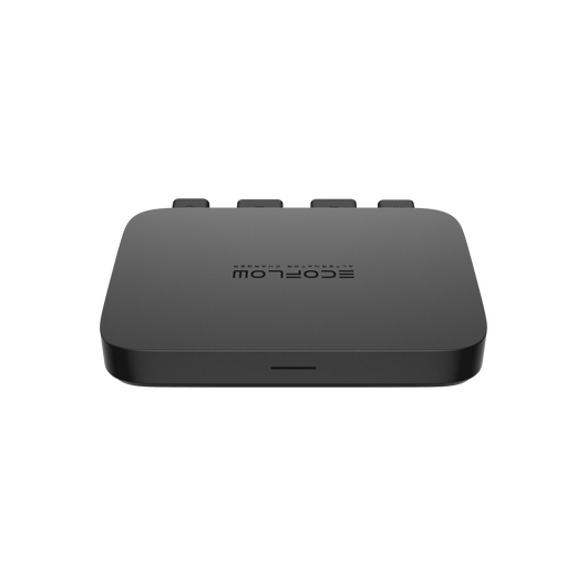 EcoFlow 800 W Generatoroplader