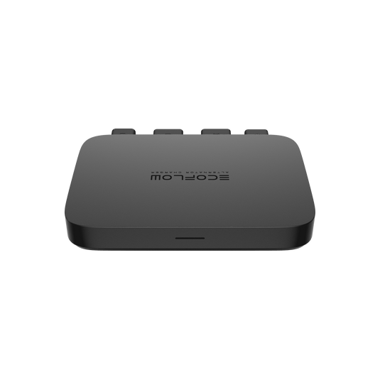 EcoFlow 800 W Generatoroplader