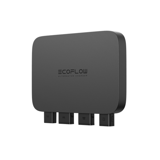 EcoFlow 800W Dynamo Lader + EcoFlow DELTA 2