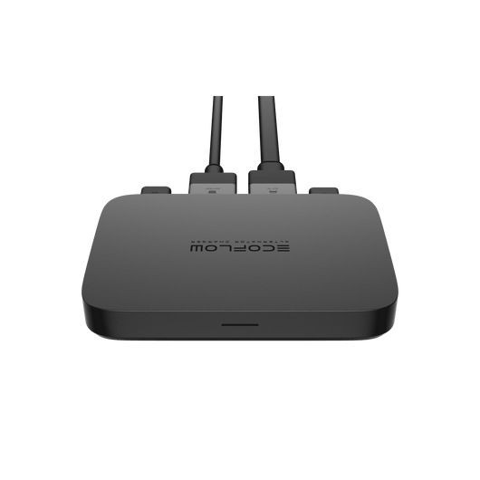 EcoFlow 800W dynamolader + EcoFlow DELTA Pro + slimme generatoradapter