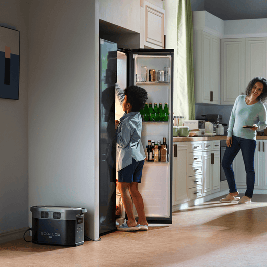 EcoFlow DELTA 2 Max Draagbaar Power Station