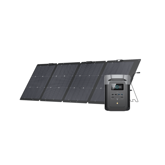 EcoFlow DELTA 2 Draagbare Power Station