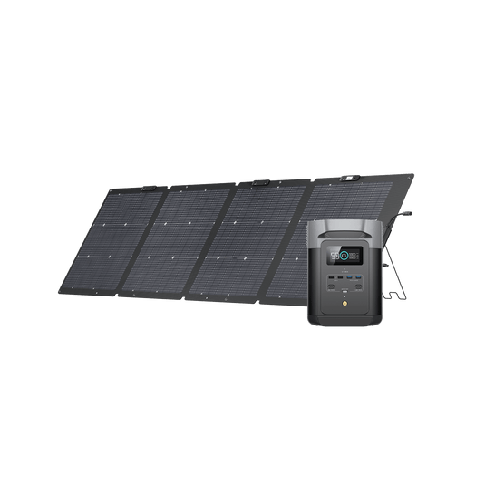 EcoFlow DELTA 2 Zonnegenerator (PV220W) 