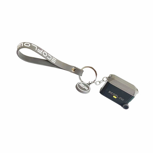 EcoFlow Sleutelhanger - DELTA Pro 