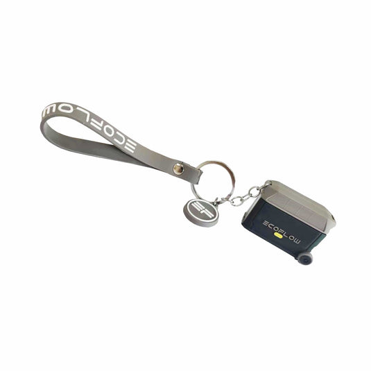 EcoFlow Sleutelhanger - DELTA Pro