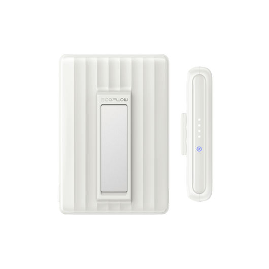 EcoFlow RAPID Mag Powerbank (10.000 mAh, 7,5 W, magnetisch opladen)