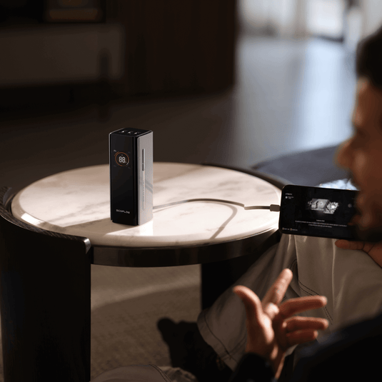 EcoFlow RAPID Pro powerbank (20.000 mAh, 230 W, 100 W feitelijke kabel)