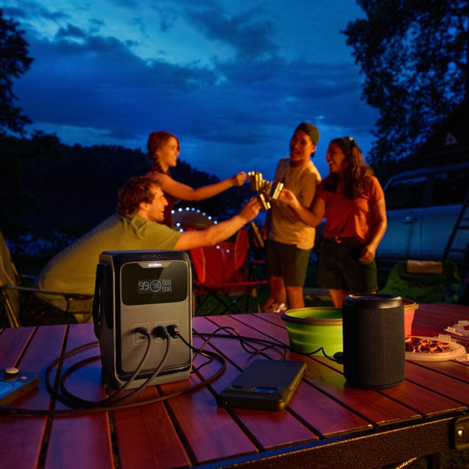 EcoFlow TRAIL Series DC Portable Power Station